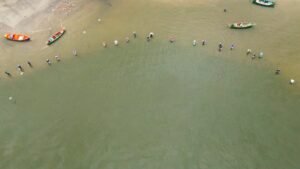 Pesca colaborativa de botos se torna patrimônio imaterial do Brasil