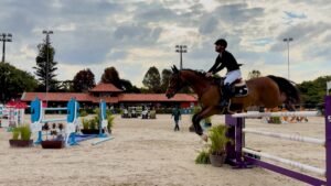 Concurso de salto internacional reuniu grandes nomes do esporte na Hípica Paranaense