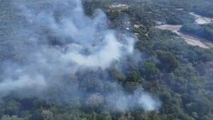 Vulnerabilidade Indígena e Investimento de R$ 209 milhões contra o Crime Organizado na Amazônia