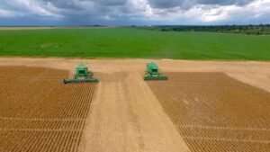 El Niño: fenômeno pode reduzir safras, pressionar preços de alimentos e impactar a economia