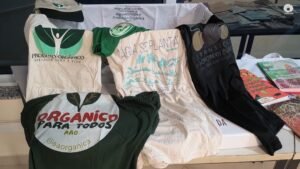 Ana Maria Primavesi: pioneira na agricultura ecológica que transformou o cuidado com o solo