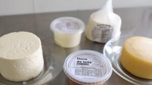 Queijaria e UEM transformam tradição artesanal em linha zero lactose na feira de Maringá