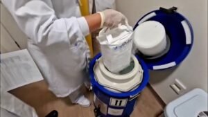 CAR T Cell: tratamento promete trazer qualidade de vida aos pacientes com tumores líquidos