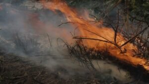 El Niño e mudanças climáticas alteram o regime de chuvas e as temperaturas na região Nordeste