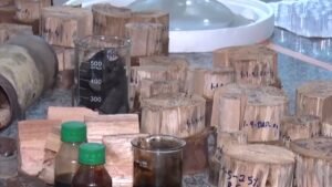 Subproduto do carvão vegetal pode se tornar aliado na agricultura, indicam pesquisas da UESB