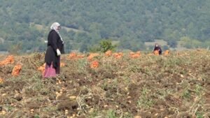 ONU dedica 2026 às mulheres agricultoras e reforça importância do trabalho no campo