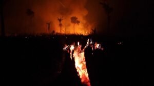 Incêndios no Amazonas destroem vegetação e ameaçam casas